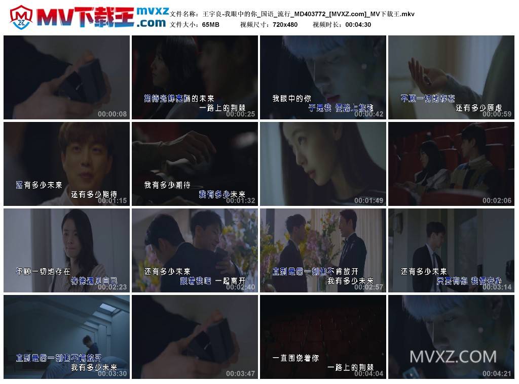 王宇良-我眼中的你_国语_流行_MD403772